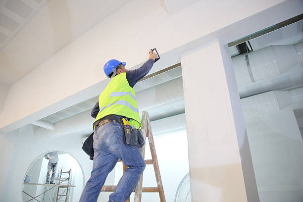 Trusted Huntington Woods, MI Mold Removal Experts