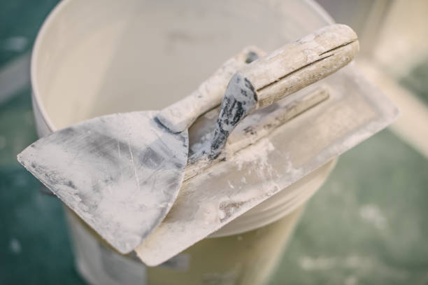 Best Post-Construction Mold Inspection  in Huntington Woods, MI